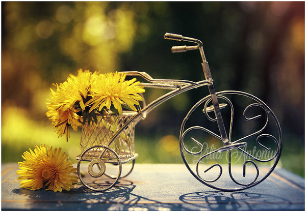 Фото Игрушечный велосипед с одуванчиками, by LiiQa