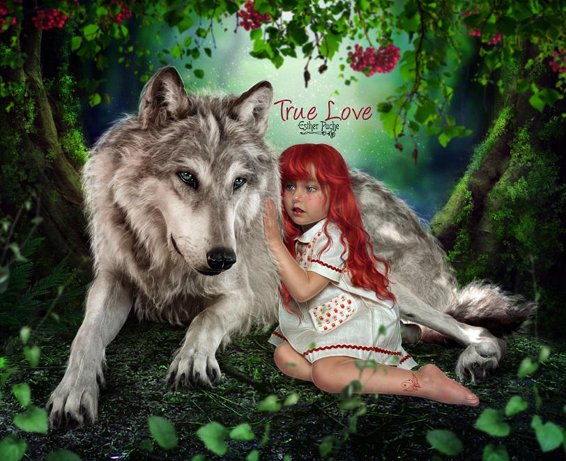 Фото Девочка сидит рядом с волком, true love (настоящая люовь), by EstherPuche-Art