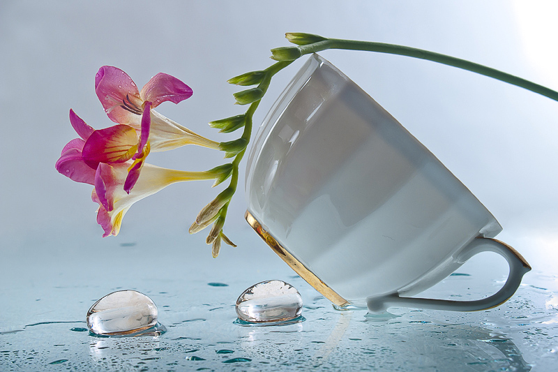 Фото Белая чашка стоит на боку, под ней и рядом кусочки льда, на чашке лежит веточка с двумя цветками фрезии