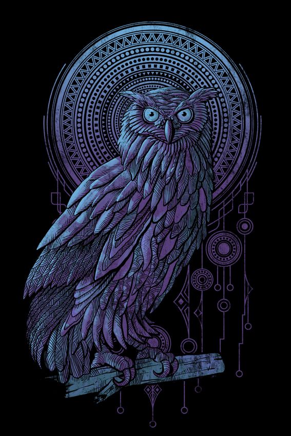 seeing-owl-in-dream-islam