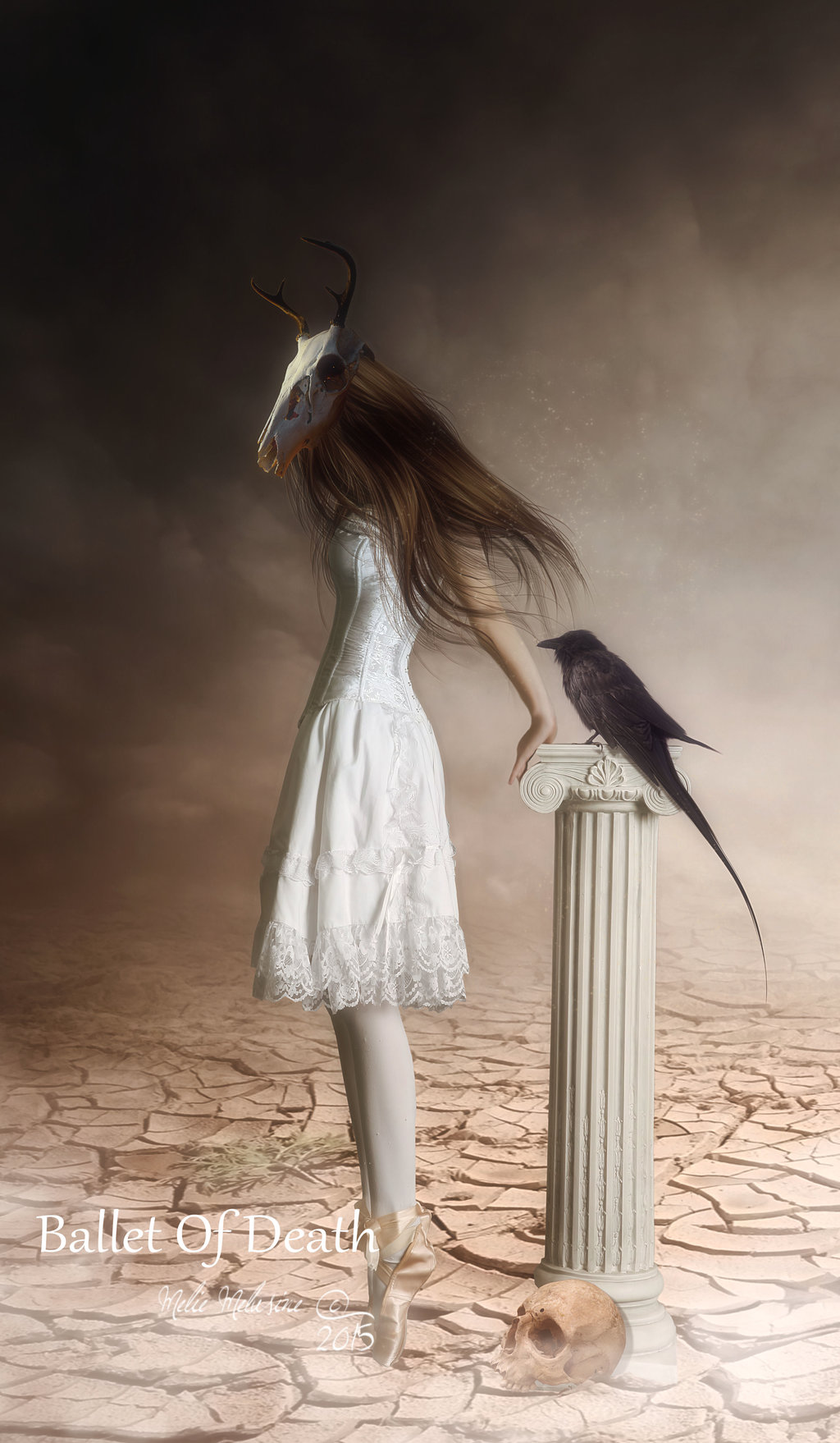 Фото Балерина с черепом на голове и ворон (Ballet of Death / Балет смерти), работа MelieMelusine