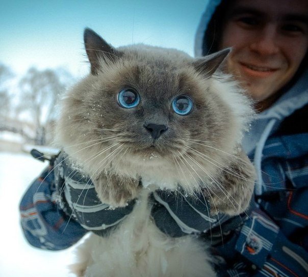 Фото ек голубоглазая россия фото