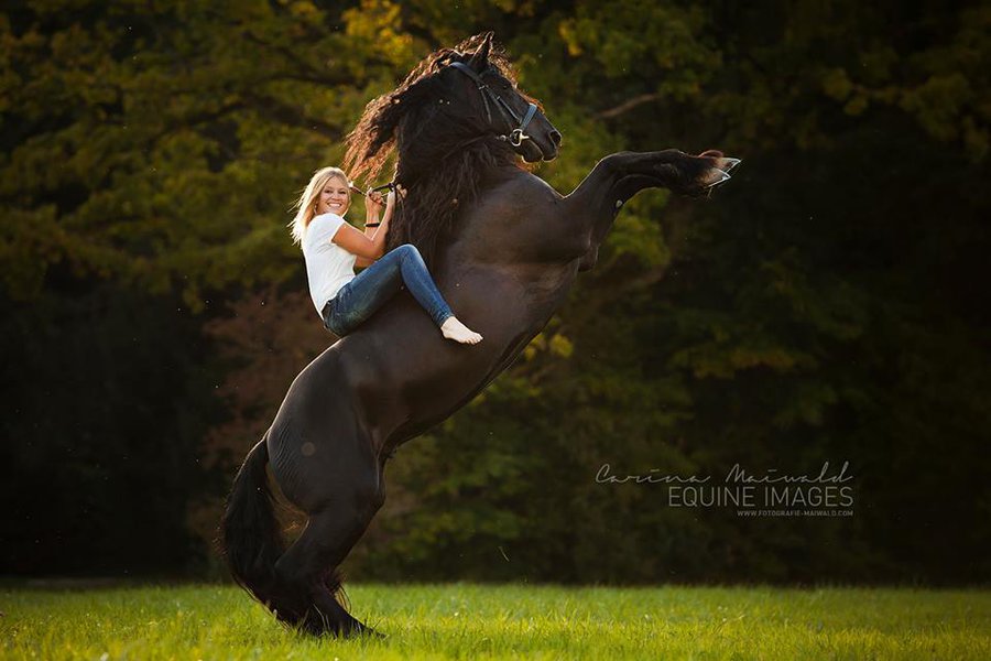 Фото Девушка на лошади, by carinamaiwald
