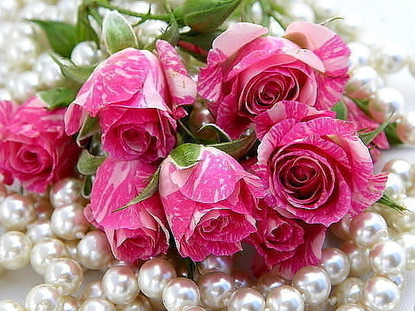 Фото Розовые розы лежат на белых бусах