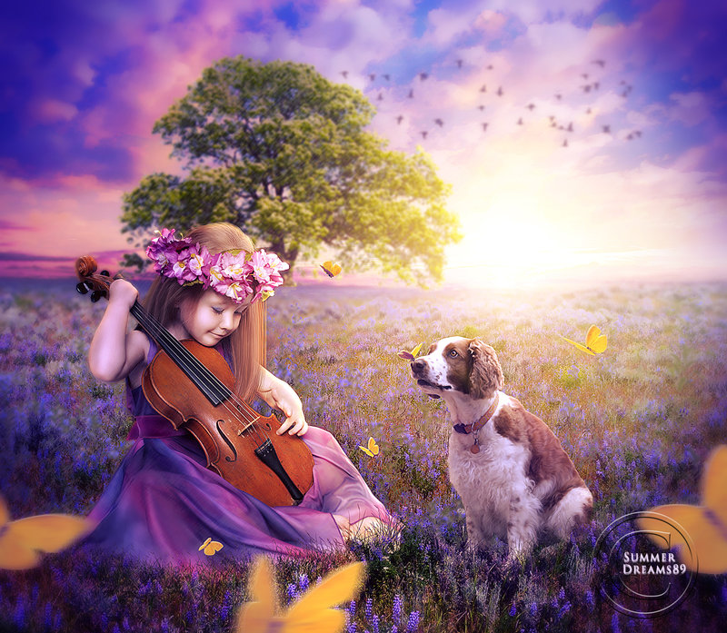 Фото Девочка со скрипкой в руках сидит на поляне рядом с собакой, в окружении желтых бабочек, by Summer Dreams89