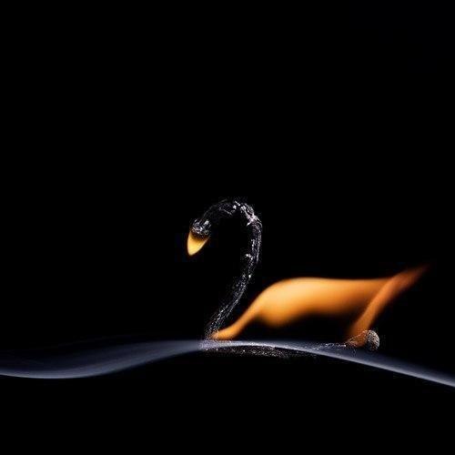 Фото Две горящие спички соединены и образуют лебедя, который плывет по волне из дыма, фотограф Станислав Аристов (ник - ПолТергейст)