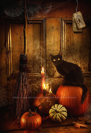 Фото Черная кошка сидит на тыкве, работа EnchantedWhispersArt