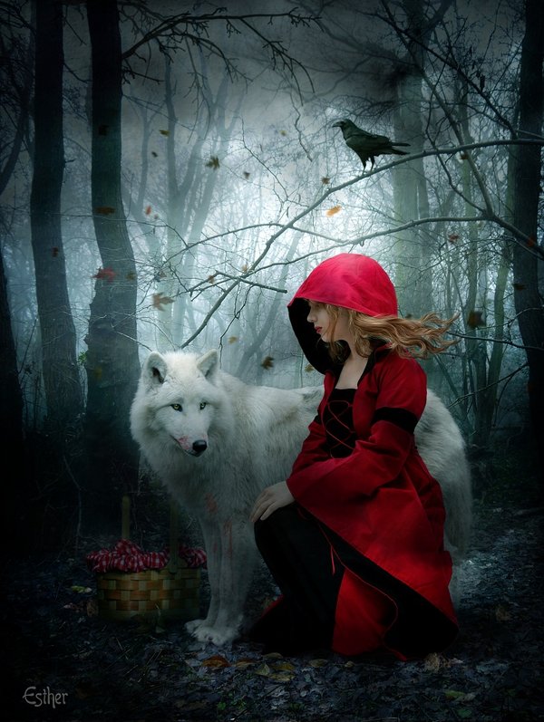 Фото Девушка в красном плаще с капюшоном и белый волк, by Essolounaquimera
