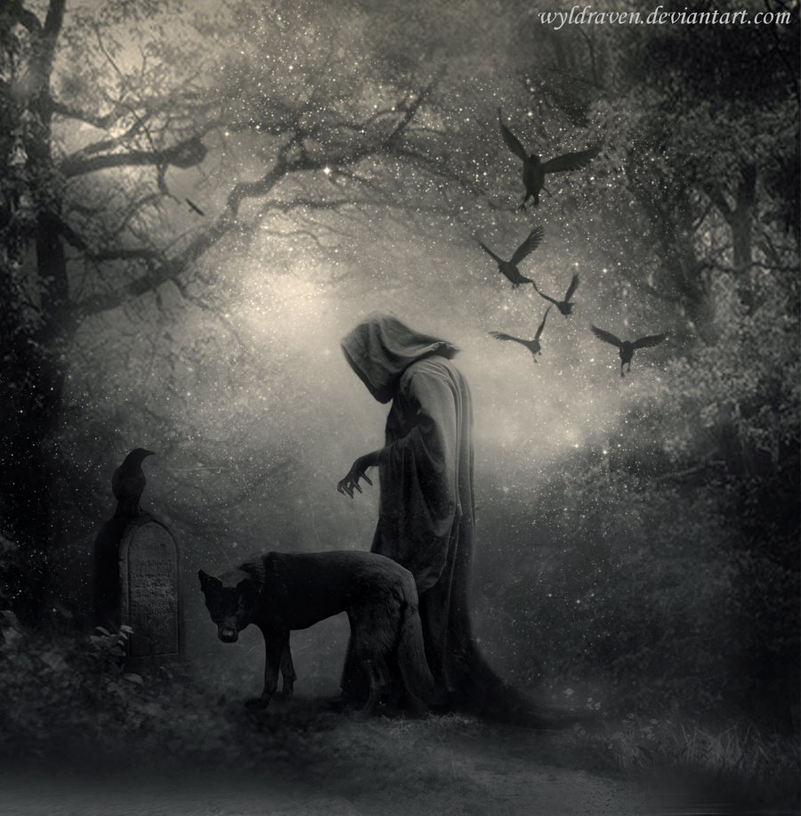Фото Человек в черном плаще и черная собака у надгробия, на котором сидит  ворон, работа wyldraven