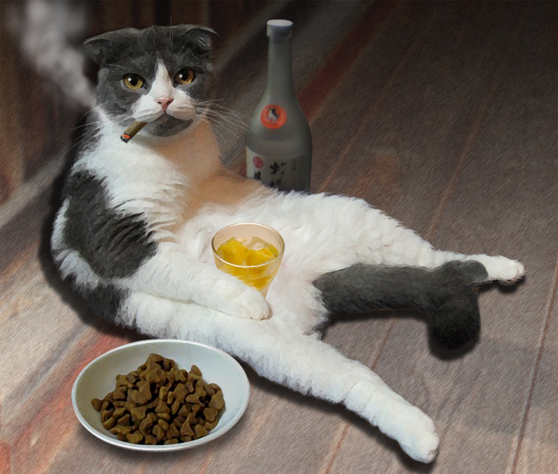 Фото Смешной кот с сигаретой в пасти, страница