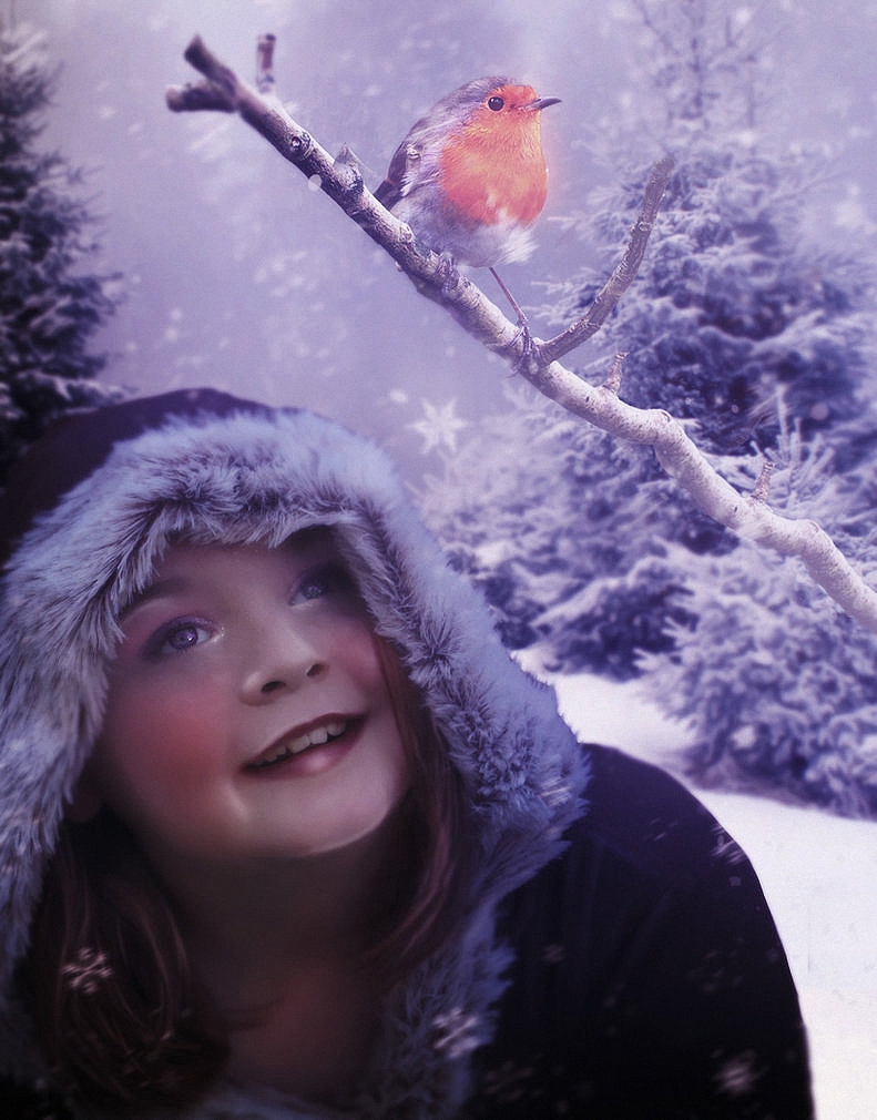 Фото Девочка в зимней одежде с улыбкой смотрит на снегиря, сидящего на ветке дерева, by ChiantyVex