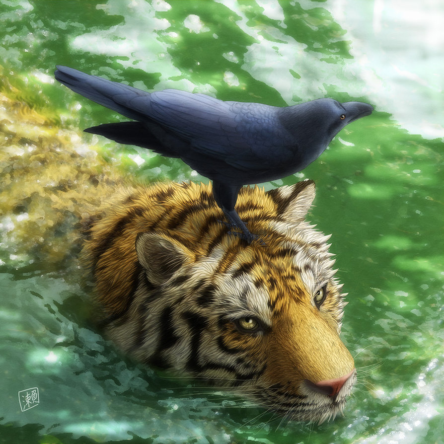 Фото Черный ворон сидит на голове у тигра стоящего в воде, by Sheltie Wolf