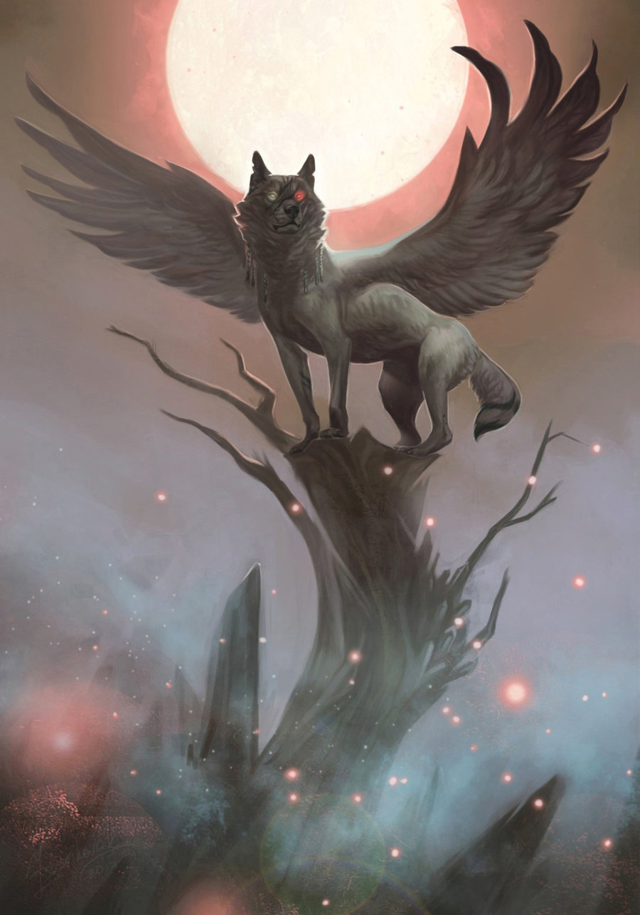 Волк с крыльями арт рисунок (36 фото)