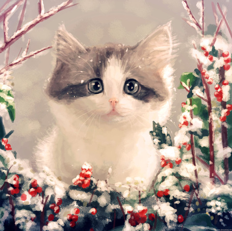 Зимние аватарки с котиками