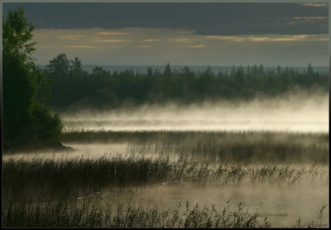 Фото Над поверхностью озера стелется туман, вокруг берега озера растут деревья, автор Юрий Овчинников