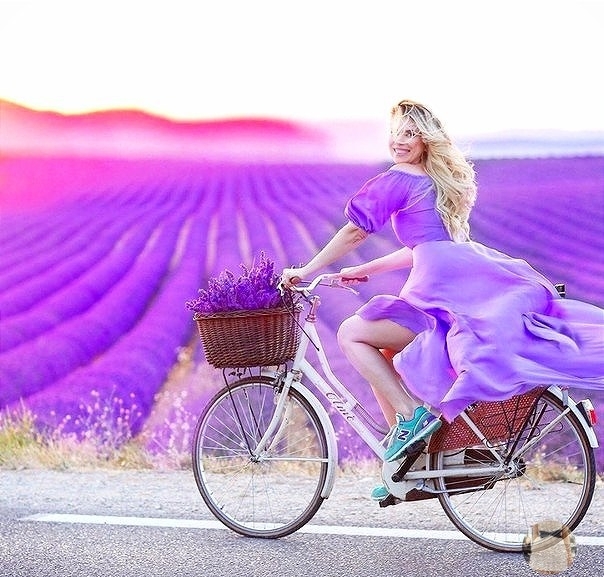 Фото Девушка на велосипеде проезжает мимо лавандового поля