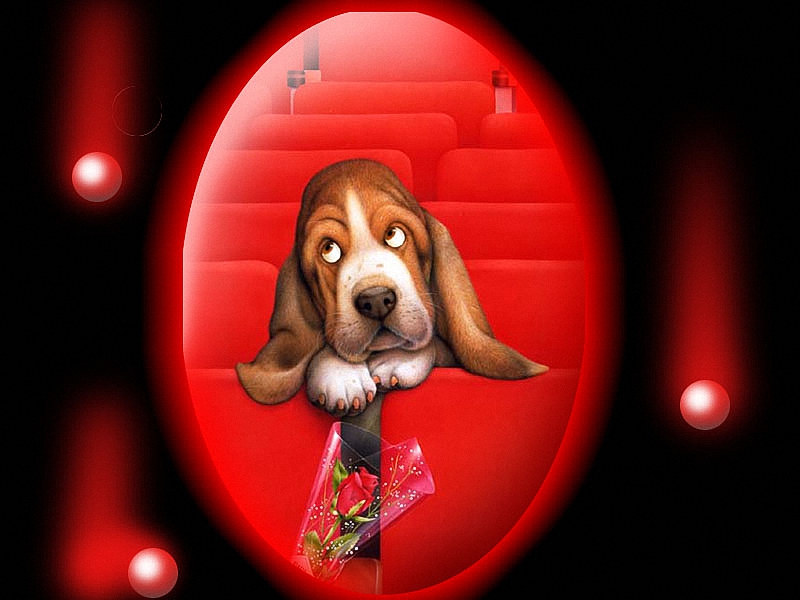 Фото Красный луч прожектора освещает пса, сидящего в кинозале и положившего голову на спинку сидения, загрустившего что не пришла его любимая, перед ним лежит букет из красной розы, художник Майкл Освальд / Michael Oswald, MichaelO/