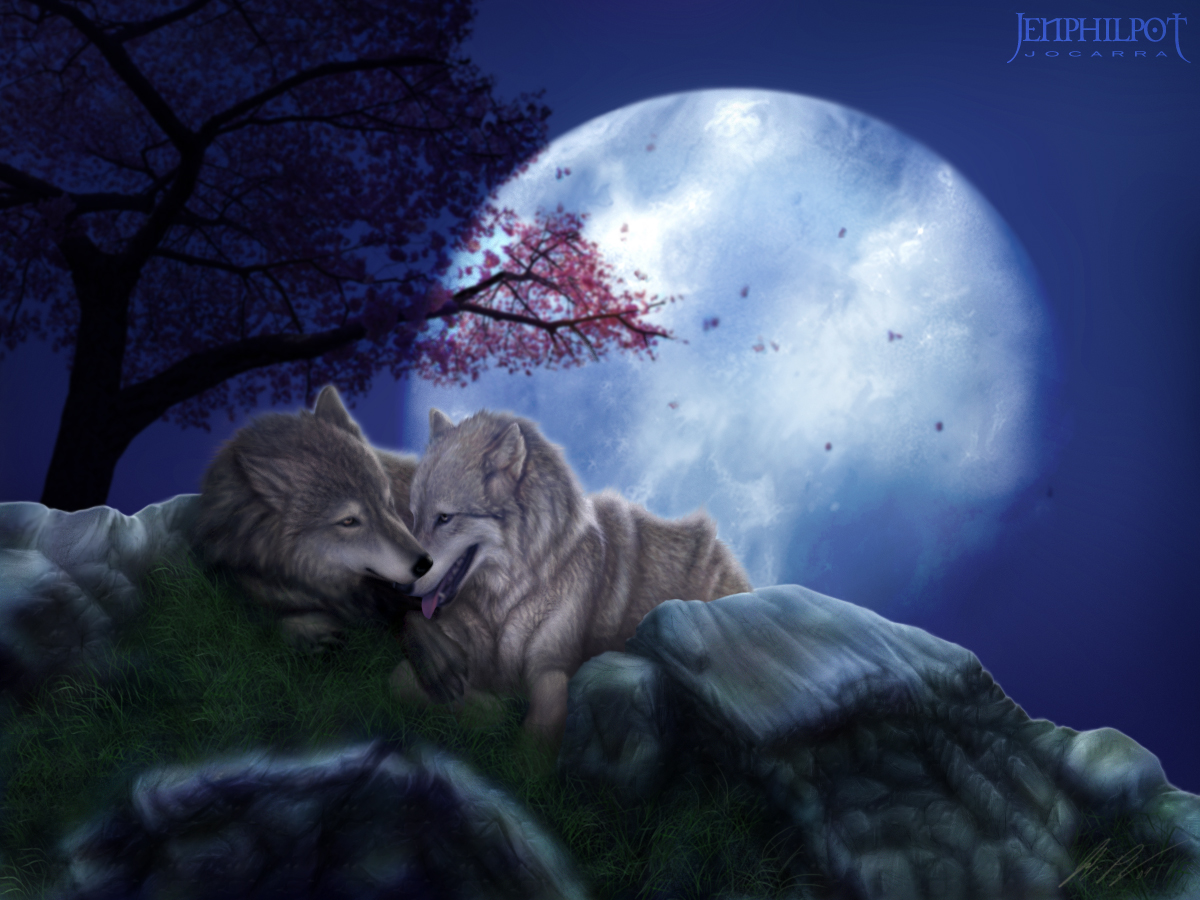Фото Влюбленные волки на фоне полной луны, by jocarra