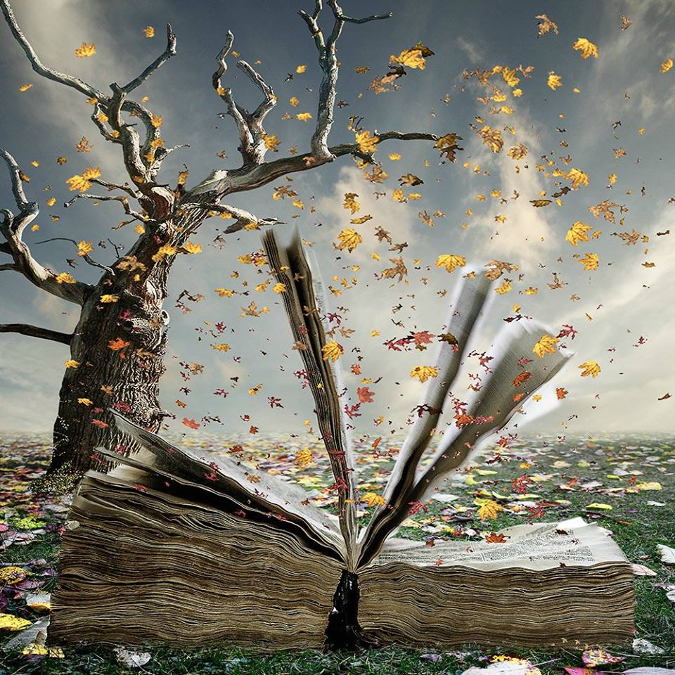 Фото Открытая книга под падающими осенними листьями