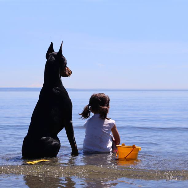 Фото Девочка с доберманом сидят в воде и смотрят вдаль, ву Siena Prucha