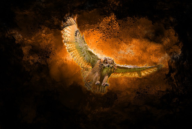 Фото Арт сова улетающая от огня и дыма, by Waylin