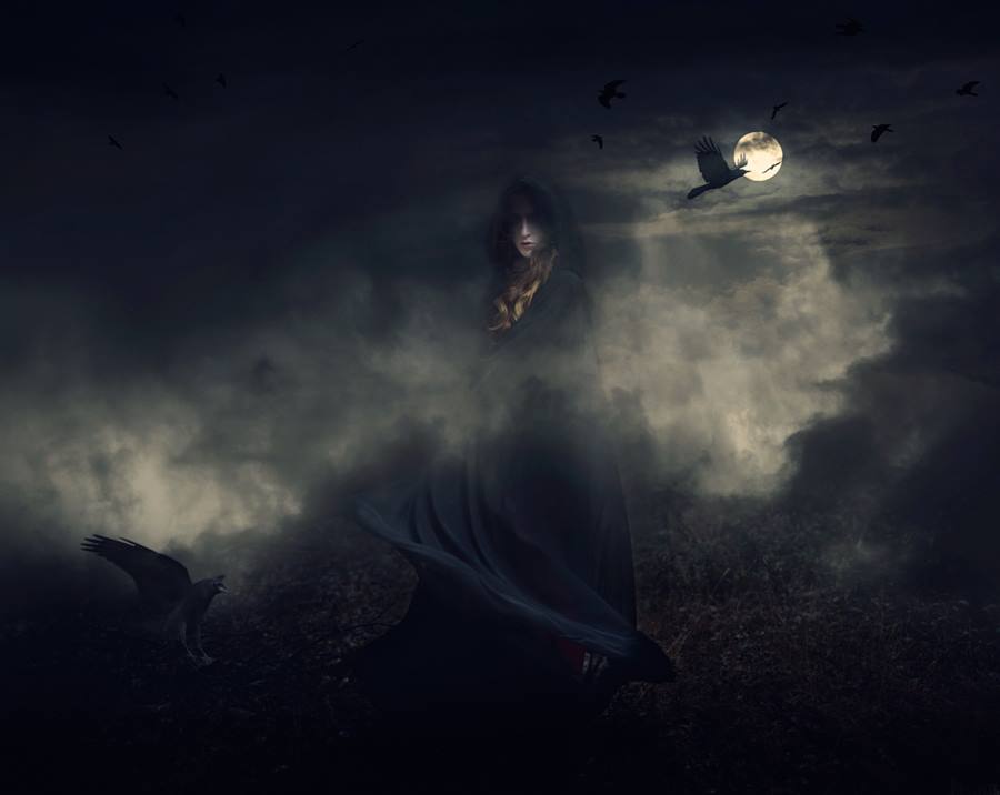 Фото Девушка с вороном стоит в дыму на фоне ночного неба, ву Jessica Drossin