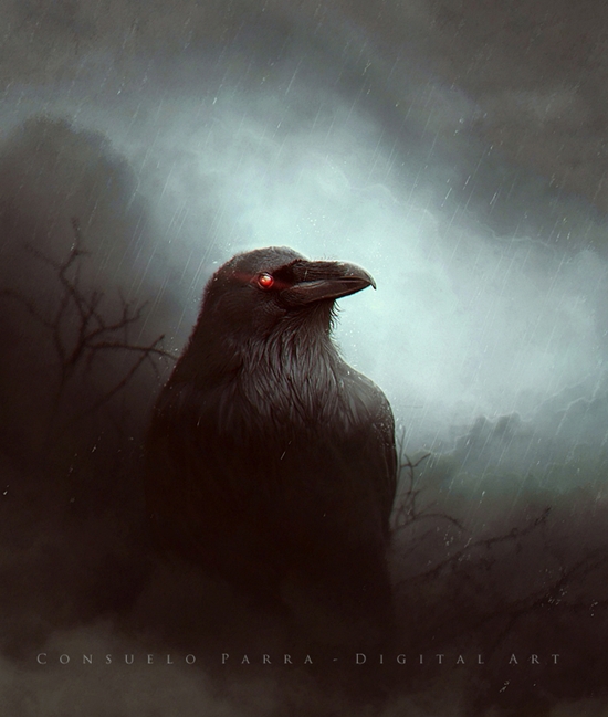 Фото Черный ворон, by Aeternum-Art