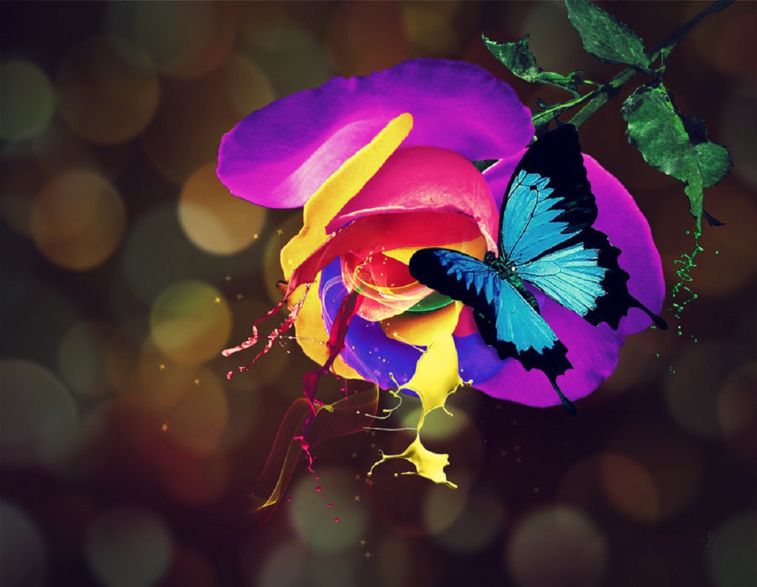 Фото Красочная роза с голубой бабочкой, deviant art