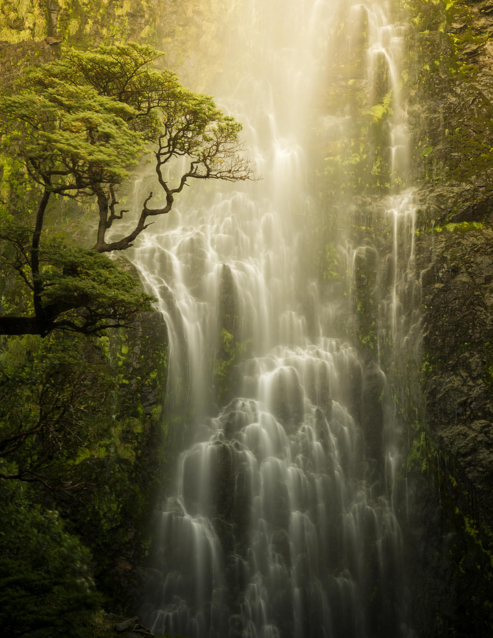 Фото Вид на водопад, by Thysje Arthur