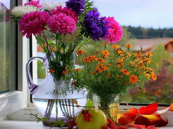 Фото Натюрморт из графина с разноцветными астрами, оранжевыми цветами, стоящими в стакане, яблоком и осенними листьями. Все эти предметы стоят на подоконнике у открытого окна