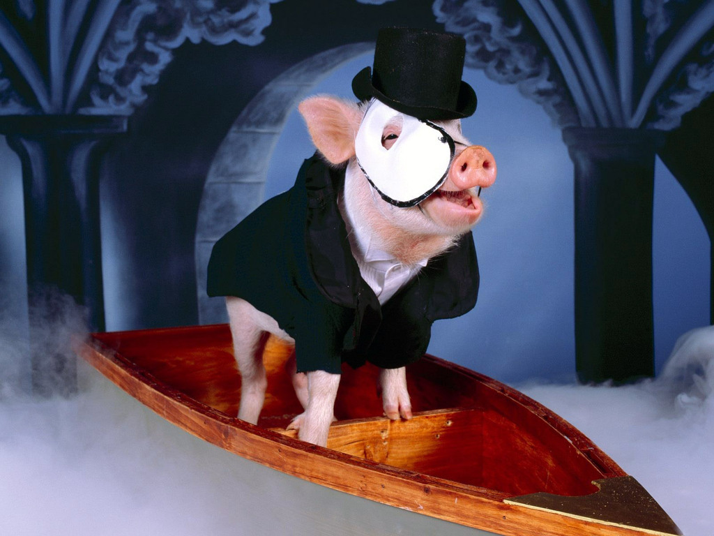 Фото Свинка стоит в лодке в образе Призрак оперы