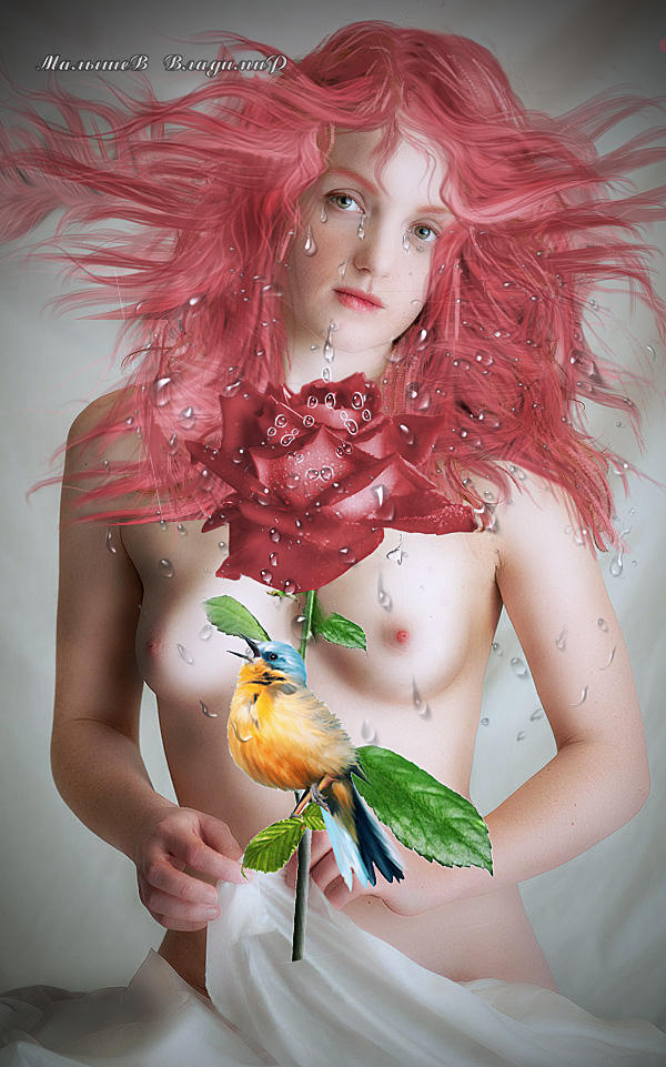 Фото Сидящая розоволосая девушка держащая в руках птичку и розу, все залила слезами