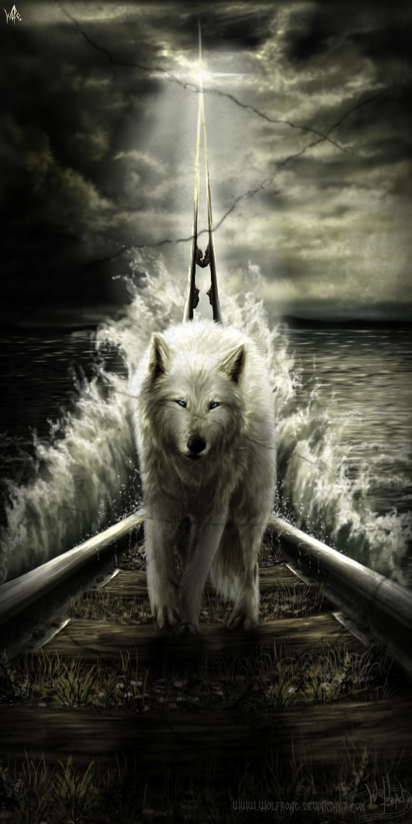 Фото Белый волк стоит на шпалах железной дороги ведущей в небеса, by Wolf Road