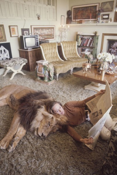 Фото Домашний лев и его хозяйка