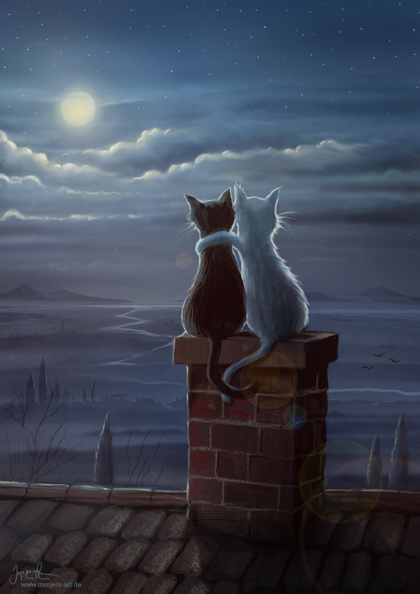 Фото Два кота сидящих на печной трубе смотрят на луну, by jerry8448