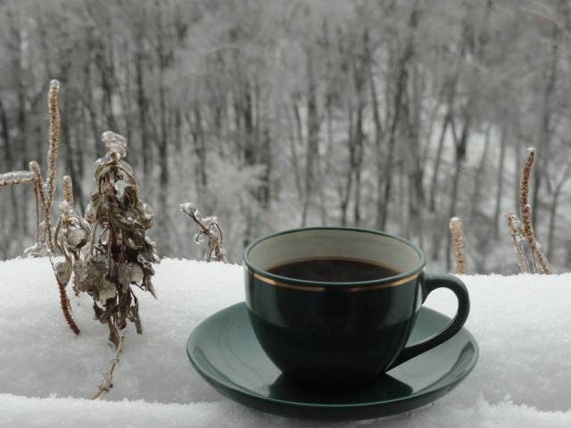 Фото Чашечка с кофе стоит на блюдце и на снегу, вдали видны деревья покрытые снегом