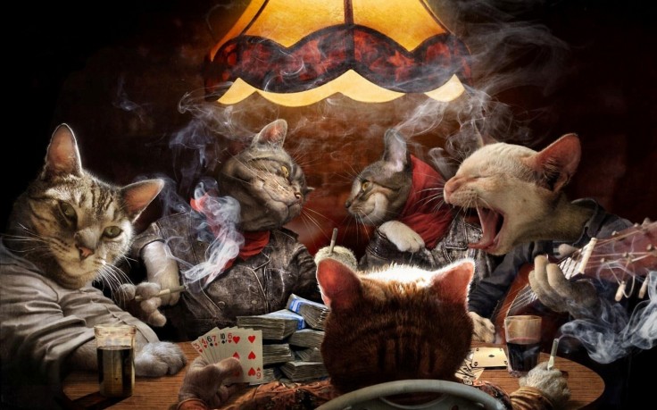 Фото Коты играют в покер и распевают песни под гитару, by Mickey Featherstone