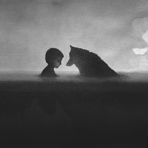 Фото Мальчик и волк стоят напротив друг друга в воде, by Elicia Edijanto