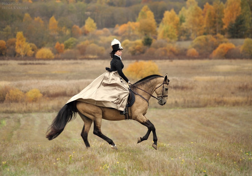 Фото Наездница в черной шляпе, черной куртке и в бежевой юбке скачет на лошади по полю, вдали видны деревья, фотограф Ирина Кваша