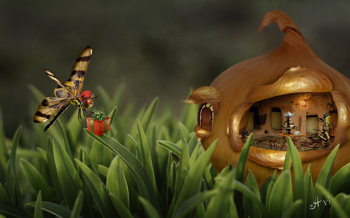 Фото Бабочка с подарком летит на чаепитие к кузнечику в домик из луковицы, by Avi li