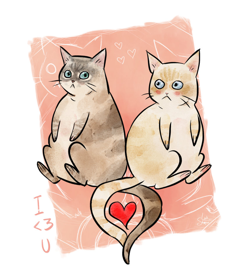 Love cat biz. Котик рисунок. Две кошки иллюстрации. Парные котики. Котик с сердечком рисунок.