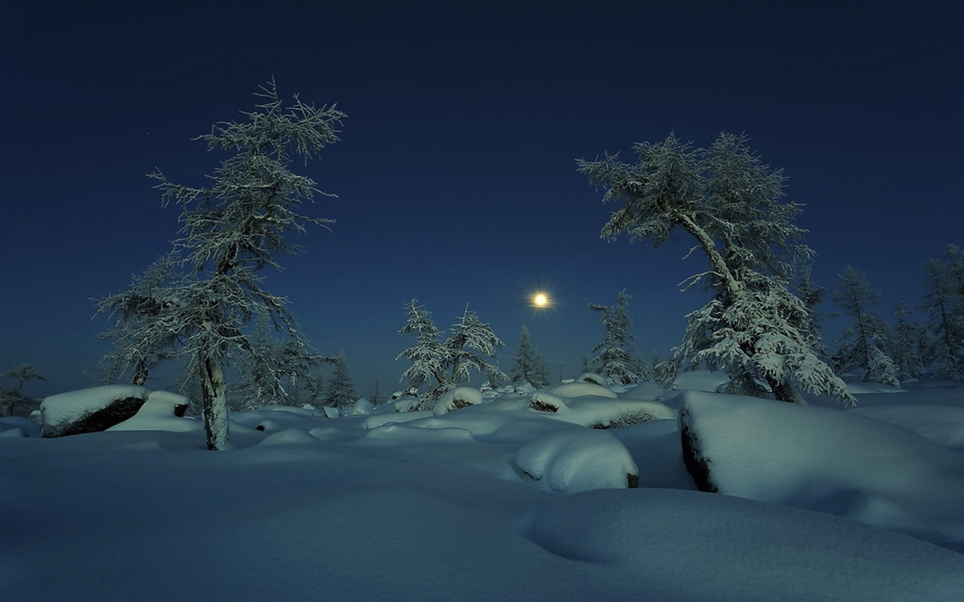 Луна зимой ночью. Зимний ночной пейзаж. Зимняя ночь. Зимний лес ночью. Зимний пейзаж ночью.