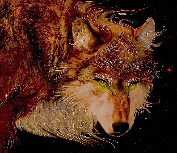 Фото Фантастический волк с великолепной шерстью, by Penguiduck