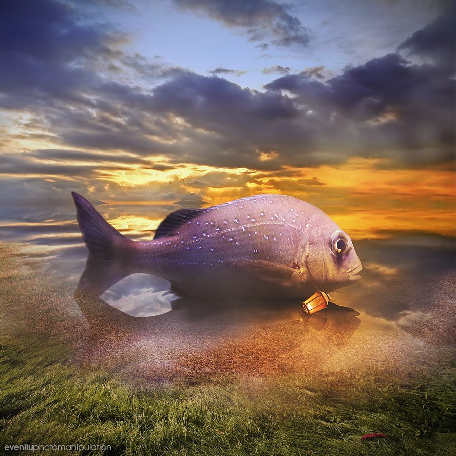 Фото Огромная рыба лежит на воде, ву Evenliu PhotoArt