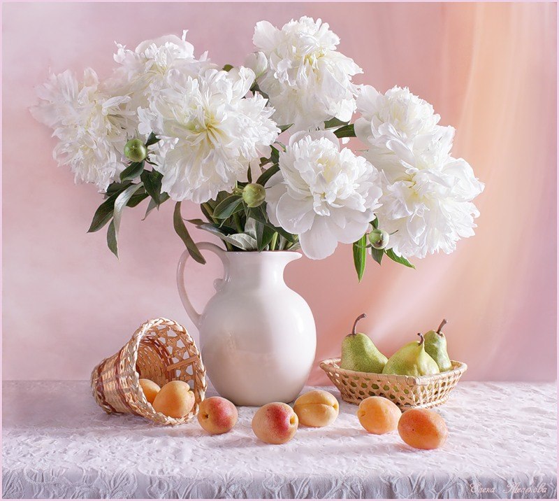 Фото Белые пионы в белом графине стоят на столе рядом с вазой с грушами и с рассыпавшимися из вазочки абрикосами, автор Елена Теплова