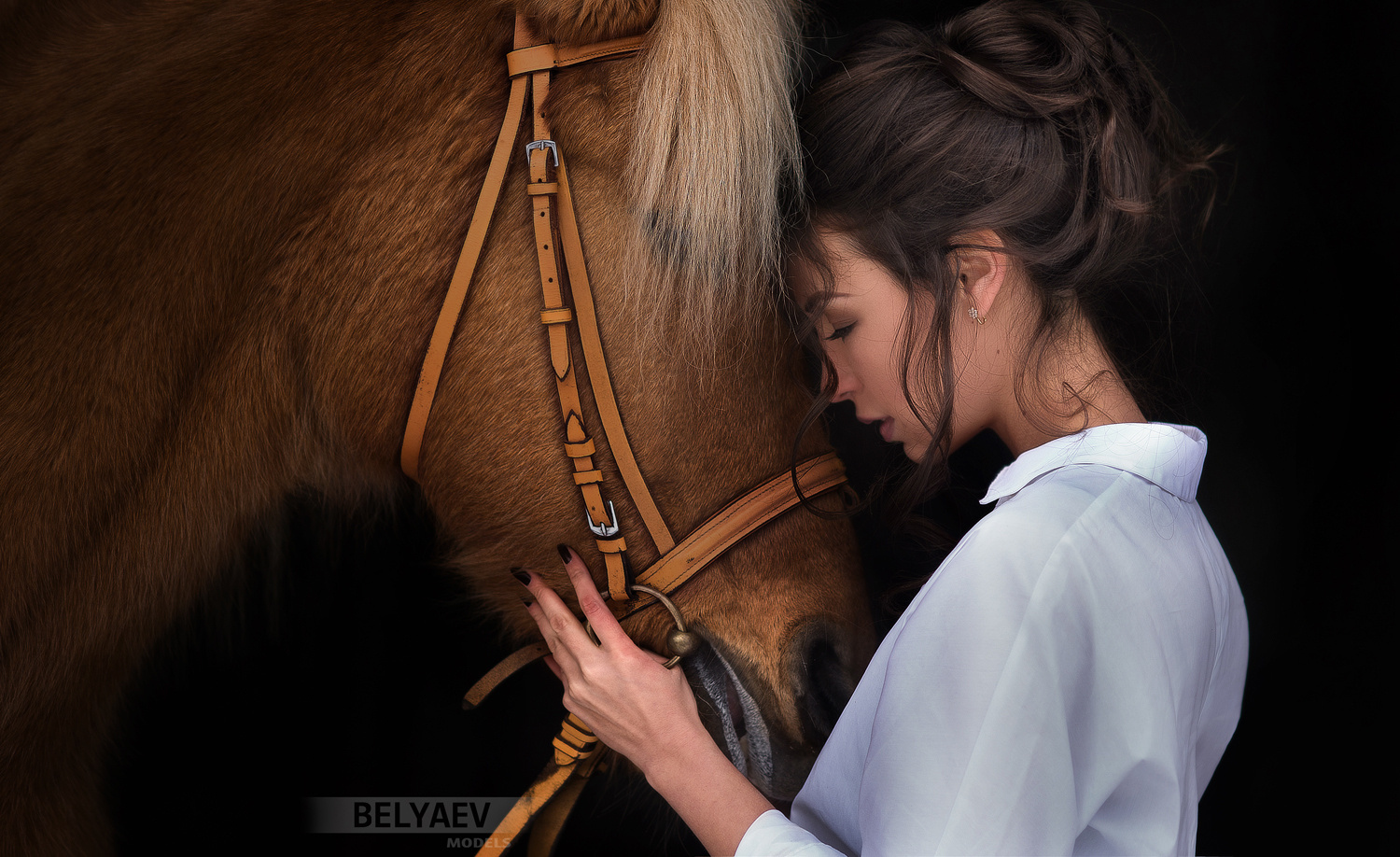 Фото Девушка и лошадь, фотограф Dmitry Belyaev