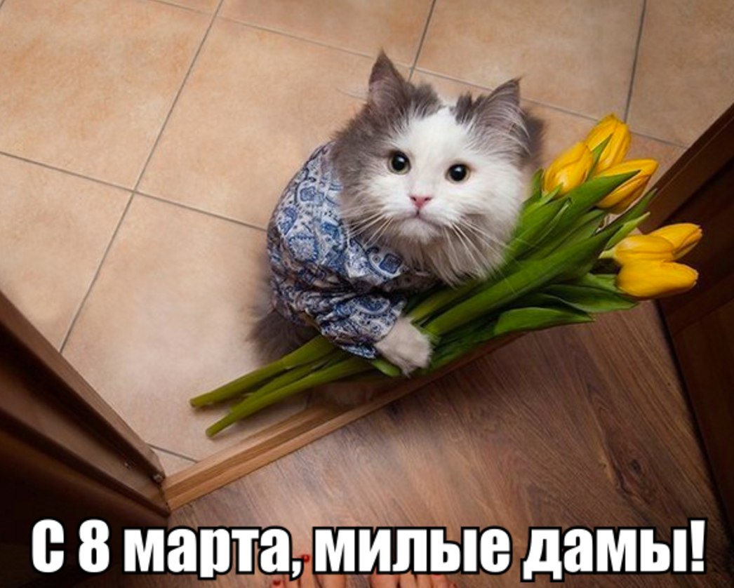 Приколы бабы, приколы с цветами картинки