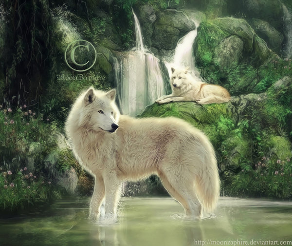 Фото Два белых волка в лесу, by MoonZaphire