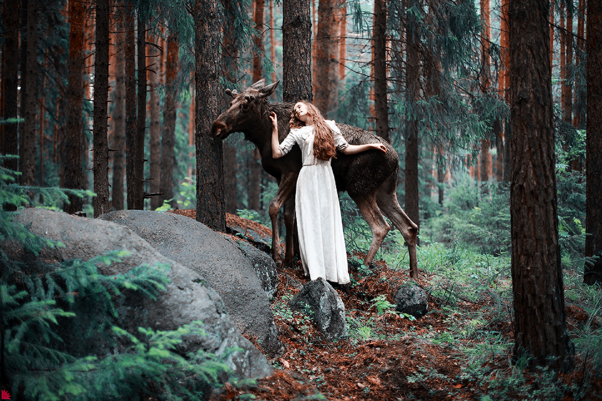 Фото Девушка, прижавшаяся к лосю, в густых зарослях леса, фотограф Ежъ Осипов