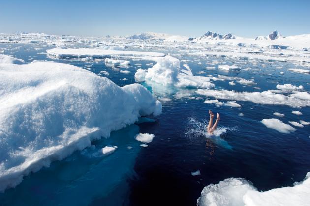 Фото Человек ныряет в холодное море, рядом с ледниками